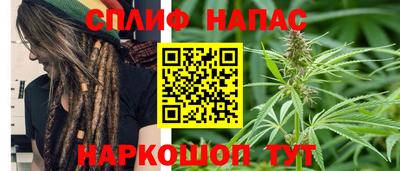 PSILOCYBIN Севастополь