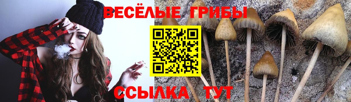 Галлюциногенные грибы MAGIC MUSHROOMS Ачхой-Мартан